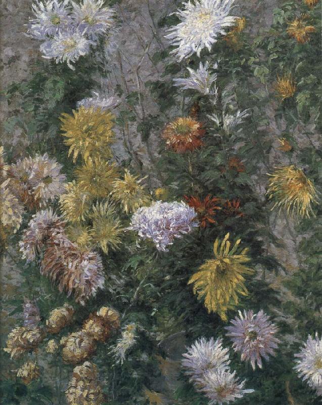 Gustave Caillebotte White and yellow chrysanthemum china oil painting image